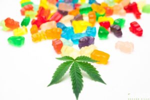 CBD Gummies More Popular Than Hemp Gummies, Here’s The Differences