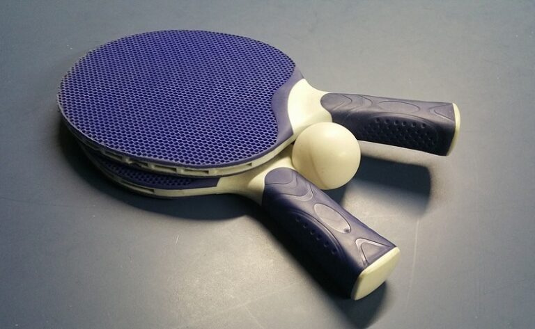Table Tennis Tables Sydney * Get the best deals for Ping Pong Tables Sydney Online