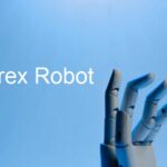 All you need to know about Forex Robot