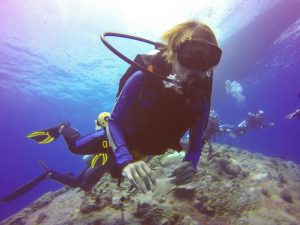 Underwater Adventures Await: Achieving Diver Certification on Koh Tao, Thailand